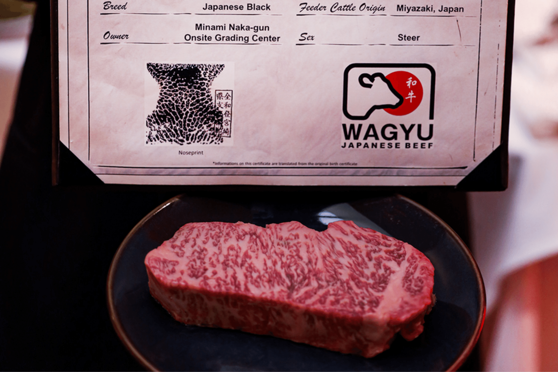 Japanese A5 Wagyu Steak
