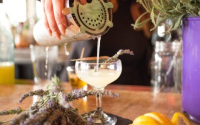Enjoy a Glass of Magic at Greystone Steakhouse’s Martini Bar in San Diego