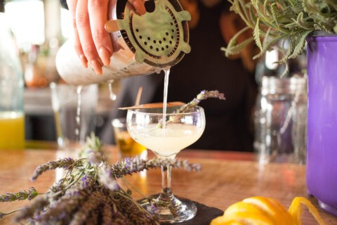 Enjoy a Glass of Magic at Greystone Steakhouse’s Martini Bar in San Diego